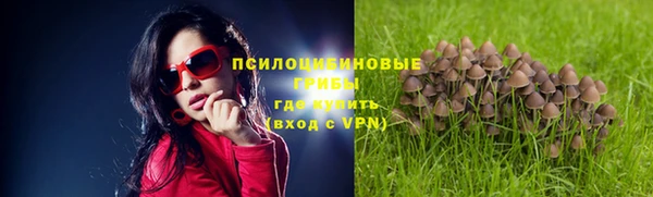 гашик Лихославль