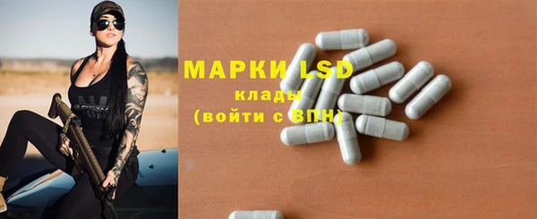 spice Липки