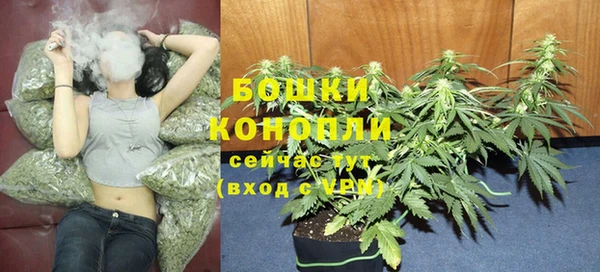 spice Липки