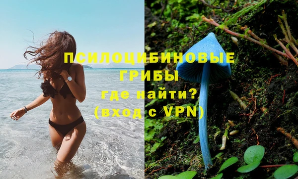 spice Липки
