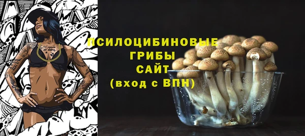 spice Липки