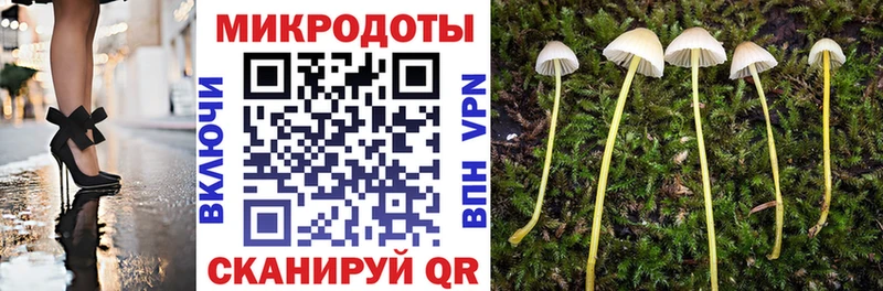 наркошоп  Староминская  Галлюциногенные грибы прущие грибы 